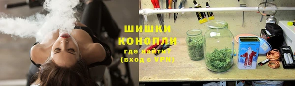 сатива Белоозёрский