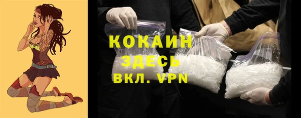 сатива Белоозёрский