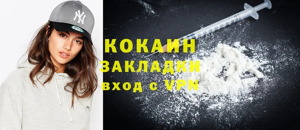 2c-b Богородицк