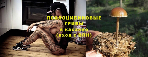 jwh Белокуриха