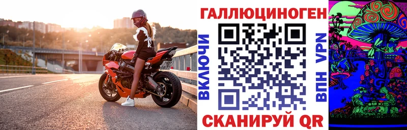 mega как зайти Бузулук Галлюциногенные грибы MAGIC MUSHROOMS закладки